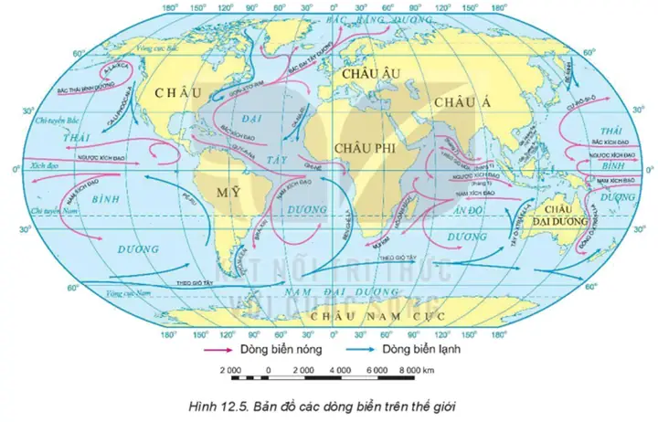 Các Biển Và Đại Dương Trên Thế Giới: Cẩm Nang Du Lịch Chuyên Sâu Các Biển Và Đại Dương Trên Thế Giới: Cẩm Nang Du Lịch Chuyên Sâu