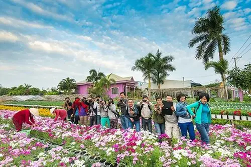 Khám Phá Làng Hoa Sa Đéc – Điểm Du Lịch Miền Tây Cho Gia Đình Khám Phá Làng Hoa Sa Đéc – Điểm Du Lịch Miền Tây Cho Gia Đình