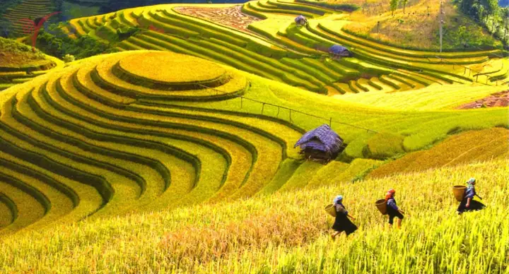Khám Phá 12 Địa Điểm Du Lịch Miền Bắc Tháng 10 Cho Du Khách