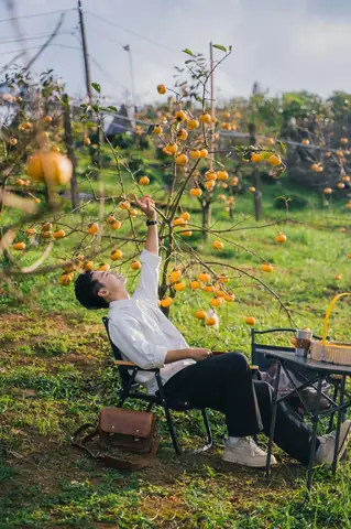 Tháng 4 Mộc Châu Có Gì? Cẩm Nang Khám Phá Mùa Hoa Ban Đẹp Nhất