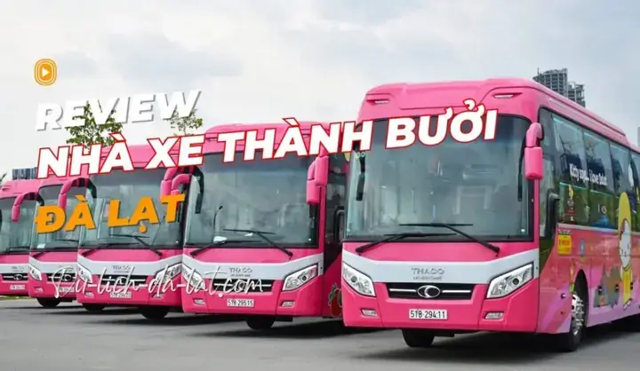 Hướng Dẫn Đặt Vé Xe Thành Bưởi Nhanh & Giá Rẻ
