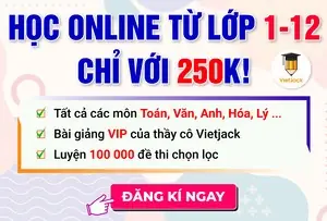 Thánh Địa Mỹ Sơn Ở Đâu? Hướng Dẫn Khám Phá Di Sản Văn Hóa Chăm Pa