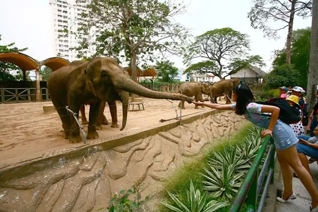 Khám Phá Vườn Bách Thảo Hà Nội – Điểm Dừng Xanh Cho Mọi Người Khám Phá Vườn Bách Thảo Hà Nội – Điểm Dừng Xanh Cho Mọi Người