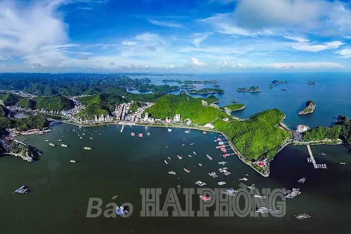 Khám Phá Thị Trấn Cát Bà: Lịch Sử, Văn Hoá Và Điểm Du Lịch Nổi Bật Khám Phá Thị Trấn Cát Bà: Lịch Sử, Văn Hoá Và Điểm Du Lịch Nổi Bật