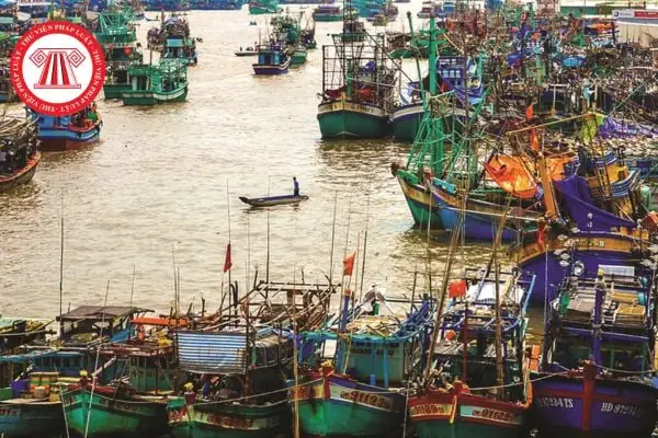 Khám Phá Thị Trấn Sông Đốc – Thị Trấn Đảo Của Cà Mau