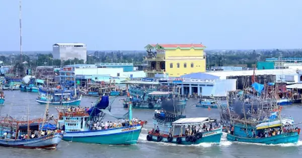 Khám Phá Thị Trấn Sông Đốc – Thị Trấn Đảo Của Cà Mau