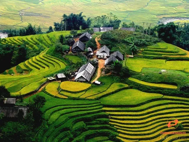 Khám Phá Lịch Sử Và Cơ Cấu Hành Chính Của Thị Xã Nghĩa Lộ