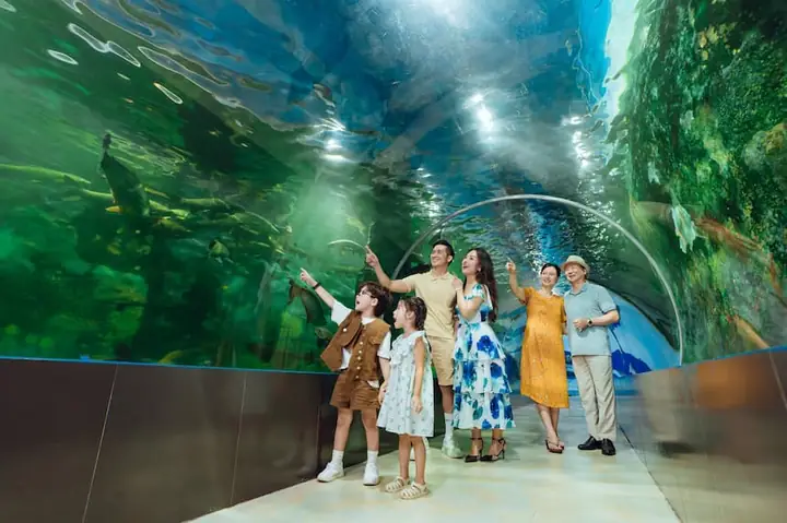 Công Viên Thiên Đường Bảo Sơn: Cẩm Nang Trải Nghiệm Toàn Diện Cho Gia Đình