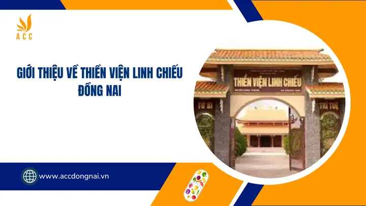 Khám Phá Thiền Viện Linh Chiếu: Lịch Sử, Kiến Trúc & Hoạt Động Khám Phá Thiền Viện Linh Chiếu: Lịch Sử, Kiến Trúc & Hoạt Động