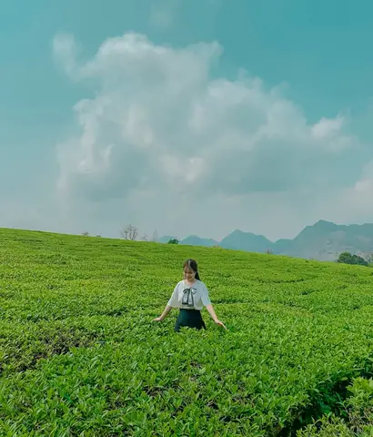 Khám Phá Thời Tiết Tháng 10 Ở Mộc Châu – Hướng Dẫn Chi Tiết Cho Du Khách