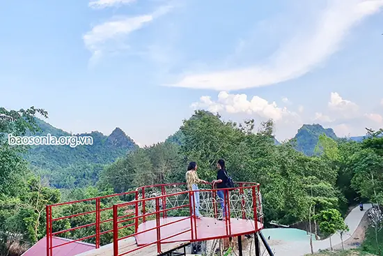 Thung Lũng Hoa Ban Sơn La: Hướng Dẫn Du Lịch Chi Tiết