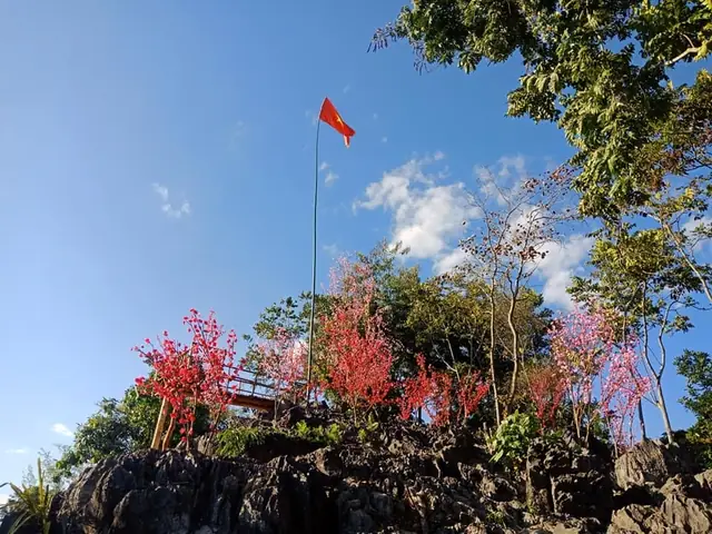 Thung Lũng Hoa Ban Sơn La: Hướng Dẫn Du Lịch Chi Tiết