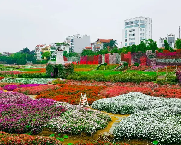 Khám Phá Thung Lũng Hoa Hồ Tây: Hướng Dẫn Chi Tiết Cho Du Khách Khám Phá Thung Lũng Hoa Hồ Tây: Hướng Dẫn Chi Tiết Cho Du Khách