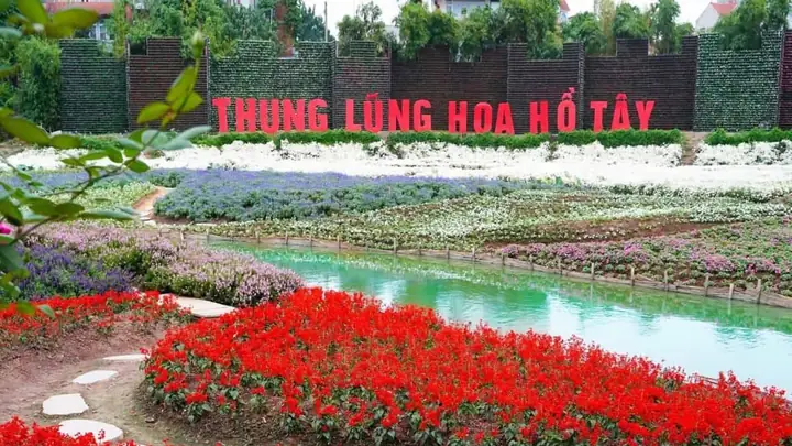 Khám Phá Thung Lũng Hoa Hồ Tây: Hướng Dẫn Chi Tiết Cho Du Khách Khám Phá Thung Lũng Hoa Hồ Tây: Hướng Dẫn Chi Tiết Cho Du Khách
