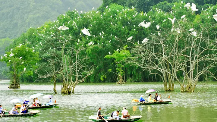 Khu Du Lịch Sinh Thái Thung Nham: Khám Phá Thiên Đường Xanh Giữa Lòng Ninh Bình Khu Du Lịch Sinh Thái Thung Nham: Khám Phá Thiên Đường Xanh Giữa Lòng Ninh Bình