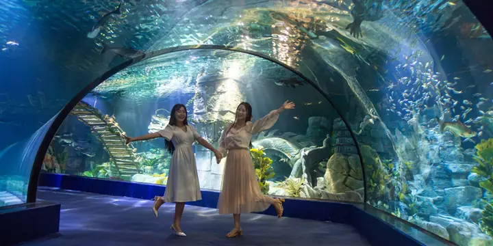 Khám Phá Thủy Cung Lotte: Địa Chỉ, Giờ Mở Và Giá Vé Khám Phá Thủy Cung Lotte: Địa Chỉ, Giờ Mở Và Giá Vé