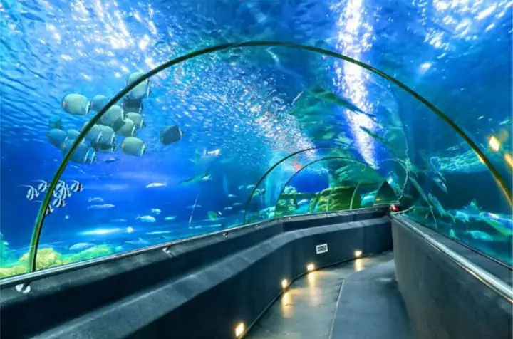 Đánh Giá Chi Tiết Thủy Cung Vinpearl Land Phú Quốc: Trải Nghiệm Đáng Nhớ? Đánh Giá Chi Tiết Thủy Cung Vinpearl Land Phú Quốc: Trải Nghiệm Đáng Nhớ?