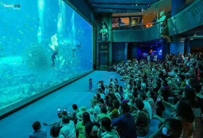 Đánh Giá Chi Tiết Thủy Cung Vinpearl Land Phú Quốc: Trải Nghiệm Đáng Nhớ? Đánh Giá Chi Tiết Thủy Cung Vinpearl Land Phú Quốc: Trải Nghiệm Đáng Nhớ?
