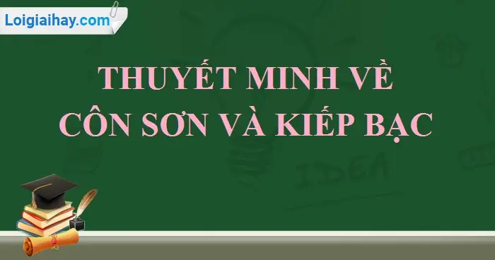 Khám Phá Côn Sơn Kiếp Bạc – Di Tích Lịch Sử Cho Người Yêu Văn Hoá