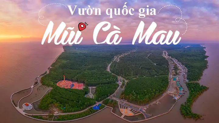 Khám Phá Đất Mũi Cà Mau: Hướng Dẫn Du Lịch Chi Tiết