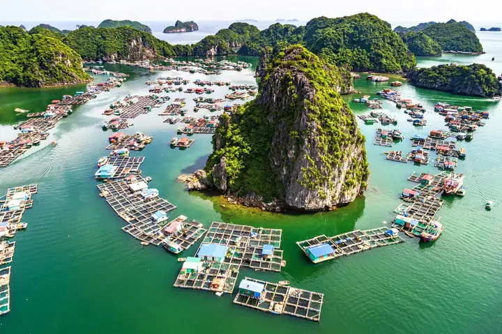Khám Phá Vịnh Lan Hạ – Đảo Và Bãi Biển Tuyệt Đẹp Cho Du Khách Khám Phá Vịnh Lan Hạ – Đảo Và Bãi Biển Tuyệt Đẹp Cho Du Khách