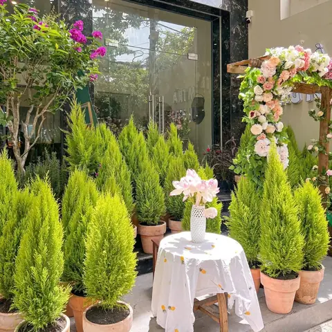 Cập Nhật Chi Tiết Tiệm Trà Tháng Tư – Địa Chỉ, Giờ Mở Và Lý Do Đóng Cửa Toàn Chi Nhánh Cập Nhật Chi Tiết Tiệm Trà Tháng Tư – Địa Chỉ, Giờ Mở Và Lý Do Đóng Cửa Toàn Chi Nhánh