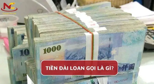 Cập Nhật Tỷ Giá Tân Đài Tệ Sang Vnd – Hướng Dẫn Chuyển Đổi Nhanh