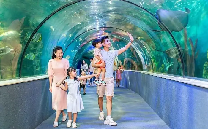 Time City Hà Nội Có Gì? Cẩm Nang 10+ Hoạt Động Giải Trí Cho Cả Gia Đình