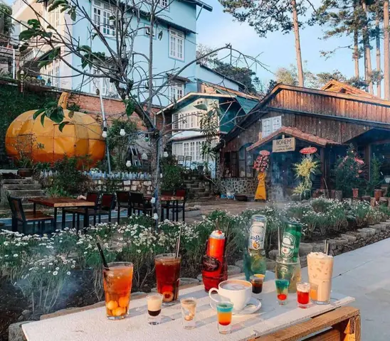 Khám Phá Tổ Chim Homestay – Review Chi Tiết, Giá & Đặt Phòng Khám Phá Tổ Chim Homestay – Review Chi Tiết, Giá & Đặt Phòng