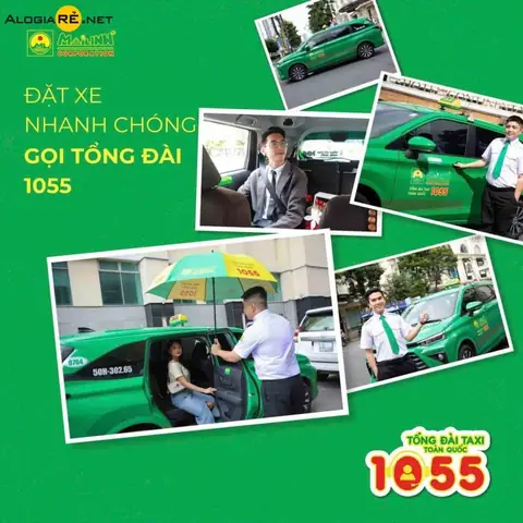 Liên Hệ Taxi Mai Linh Thanh Hóa Qua Tổng Đài 1055 – Số Điện Thoại