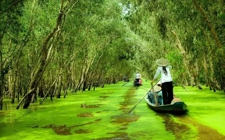 Review Tour Đảo Bà Lụa & Rừng Tràm Trà Sư: Trải Nghiệm Hoang Sơ Miền Tây Review Tour Đảo Bà Lụa & Rừng Tràm Trà Sư: Trải Nghiệm Hoang Sơ Miền Tây
