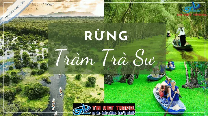 Review Tour Đảo Bà Lụa & Rừng Tràm Trà Sư: Trải Nghiệm Hoang Sơ Miền Tây