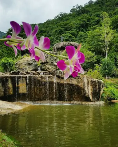 Tour Suối Hoa Lan Nha Trang: Hướng Dẫn Chi Tiết Lịch Trình, Giá Và Bí Quyết Trải Nghiệm