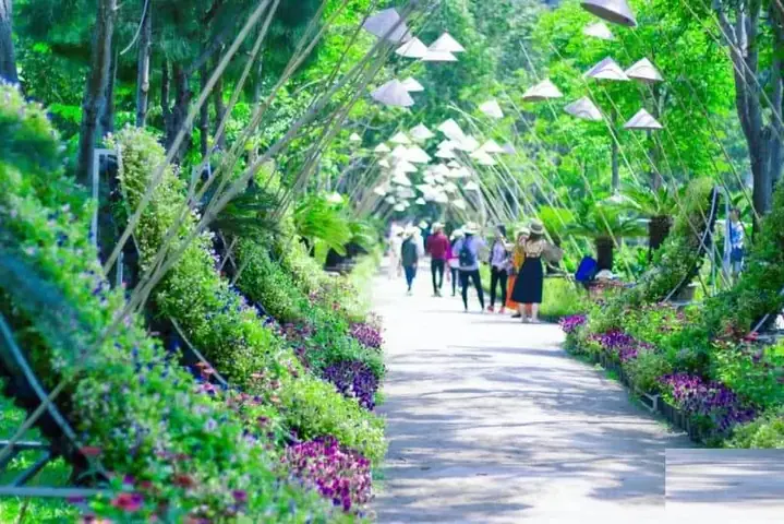 Tour Suối Hoa Lan Nha Trang: Hướng Dẫn Chi Tiết Lịch Trình, Giá Và Bí Quyết Trải Nghiệm