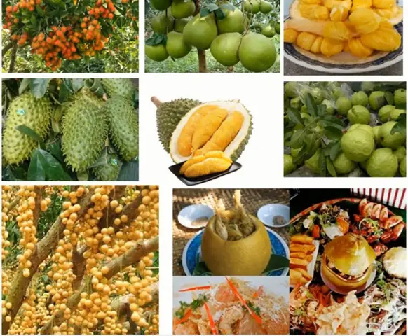 Trái Cây Đặc Sản Đồng Nai: Hướng Dẫn Khám Phá Và Thưởng Thức