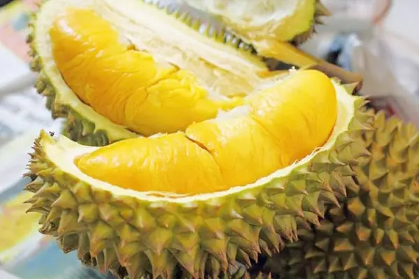 Trái Cây Đặc Sản Đồng Nai: Hướng Dẫn Khám Phá Và Thưởng Thức