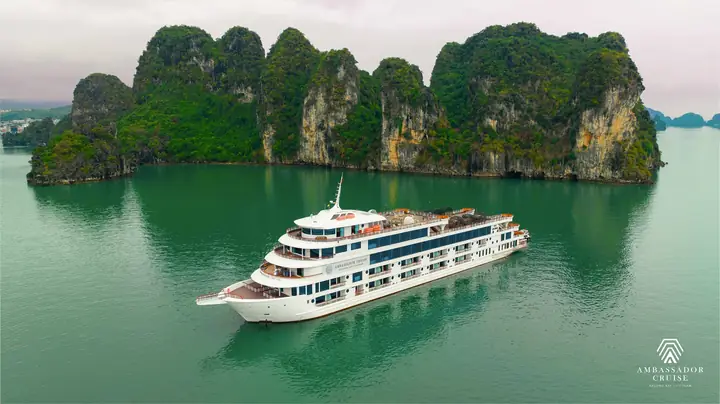 Trải Nghiệm Du Thuyền Hạ Long: Hướng Dẫn Chi Tiết Cho Chuyến Đi Đáng Nhớ