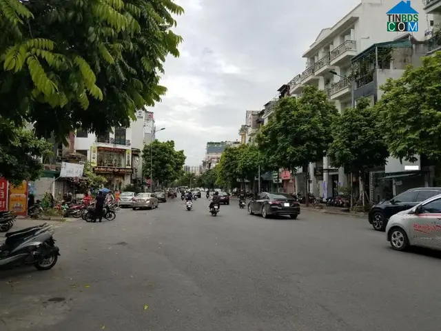 Khám Phá Phố Trần Phú – Đường Lịch Sử Tại Quận Ba Đình