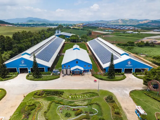 Trang Trại Vinamilk Organic Đà Lạt: Tổng Quan, Hoạt Động Và Giá Trị Bền Vững