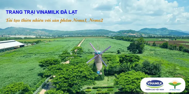 Trang Trại Vinamilk Organic Đà Lạt: Tổng Quan, Hoạt Động Và Giá Trị Bền Vững