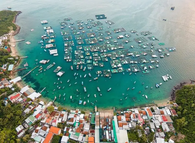 Khám Phá Thủy Cung Trí Nguyên Nha Trang – Hướng Dẫn Du Lịch