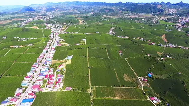 Khám Phá Du Lịch Mộc Châu: Điểm Đến, Ẩm Thực, Lưu Trú Khám Phá Du Lịch Mộc Châu: Điểm Đến, Ẩm Thực, Lưu Trú