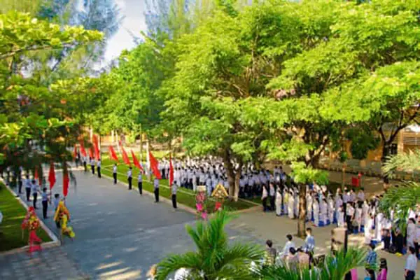Tìm Hiểu Trường Thpt Trần Quý Cáp: Lịch Sử, Thành Tích, Môi Trường