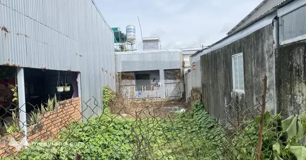 Khám Phá Núi Sập Thoại Sơn: Viên Ngọc Văn Hóa Ở Vùng Đất An Giang Khám Phá Núi Sập Thoại Sơn: Viên Ngọc Văn Hóa Ở Vùng Đất An Giang