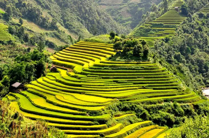 Khám Phá Cách Lên Kế Hoạch Du Lịch Tú Lệ – Hướng Dẫn Chi Tiết Cho Người Mới
