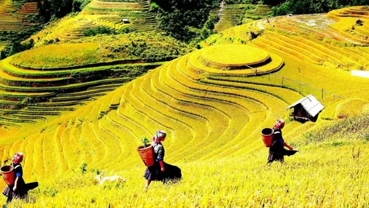 Khám Phá Cách Lên Kế Hoạch Du Lịch Tú Lệ – Hướng Dẫn Chi Tiết Cho Người Mới