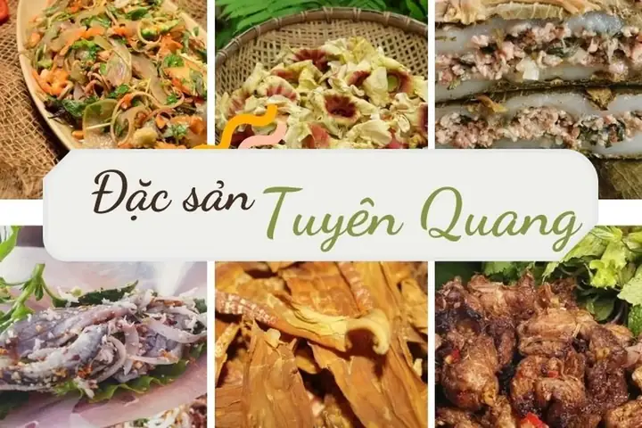 Tuyên Quang Cóđặc Sản Gì: Hướng Dẫn Chi Tiết Giới Thiệu