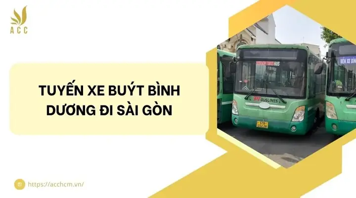 Lộ Trình Các Tuyến Xe Bus Tại Bình Dương: Hướng Dẫn Chi Tiết Lộ Trình Các Tuyến Xe Bus Tại Bình Dương: Hướng Dẫn Chi Tiết