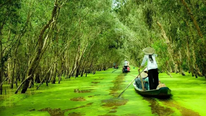 U Minh Thượng Có Gì Chơi? Cẩm Nang Khám Phá Vùng Đất Tây Nam Nổi Tiếng U Minh Thượng Có Gì Chơi? Cẩm Nang Khám Phá Vùng Đất Tây Nam Nổi Tiếng
