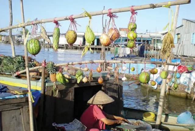 Văn Hóa Chợ Nổi Cái Răng: Hành Trình Khám Phá Sinh Hoạt Sôi Động Trên Sông